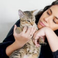 Fundadora Room, Simone Nunes, segura seu gato