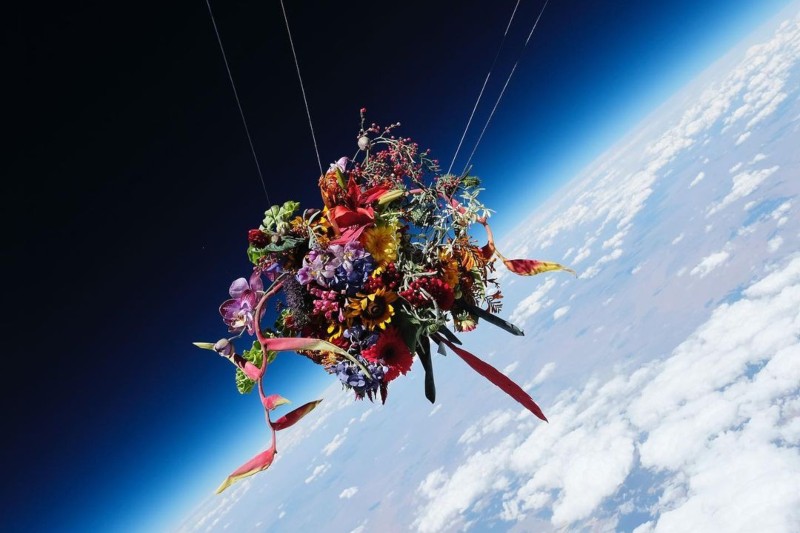 Makoto Azuma e as flores no espaço