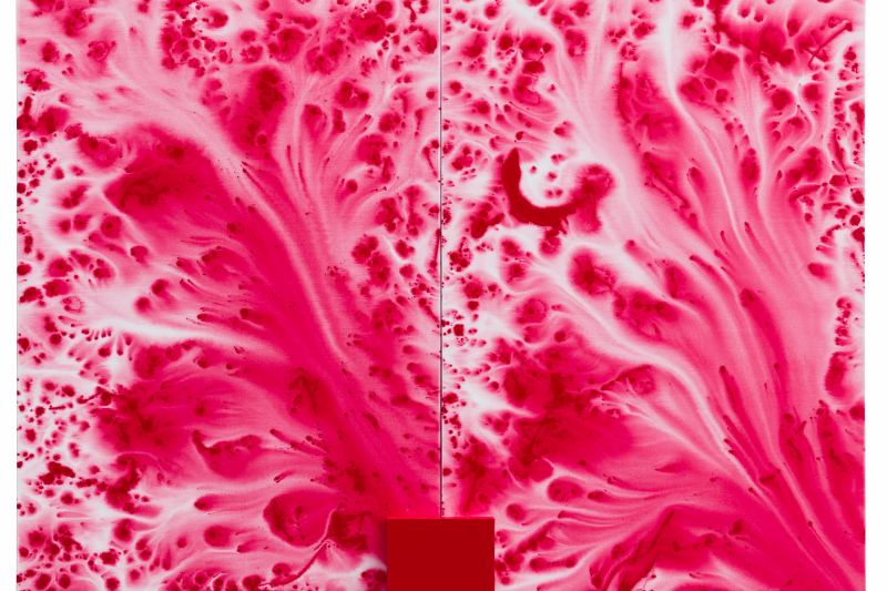 Obra de arte "Vermelho", de Antonio Dias, exposta na SP-Arte