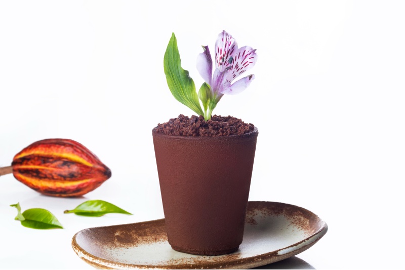 Mousse de chocolate, compota de framboesa, crumble de Evocao e flor de Evocao, do Vapiano 