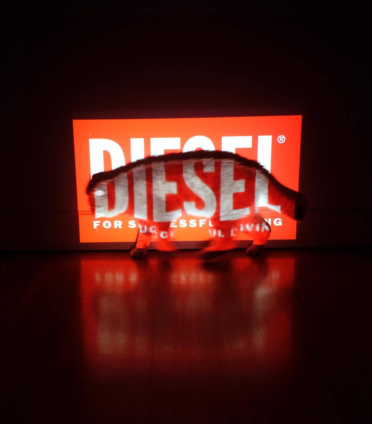 Logo da Diesel