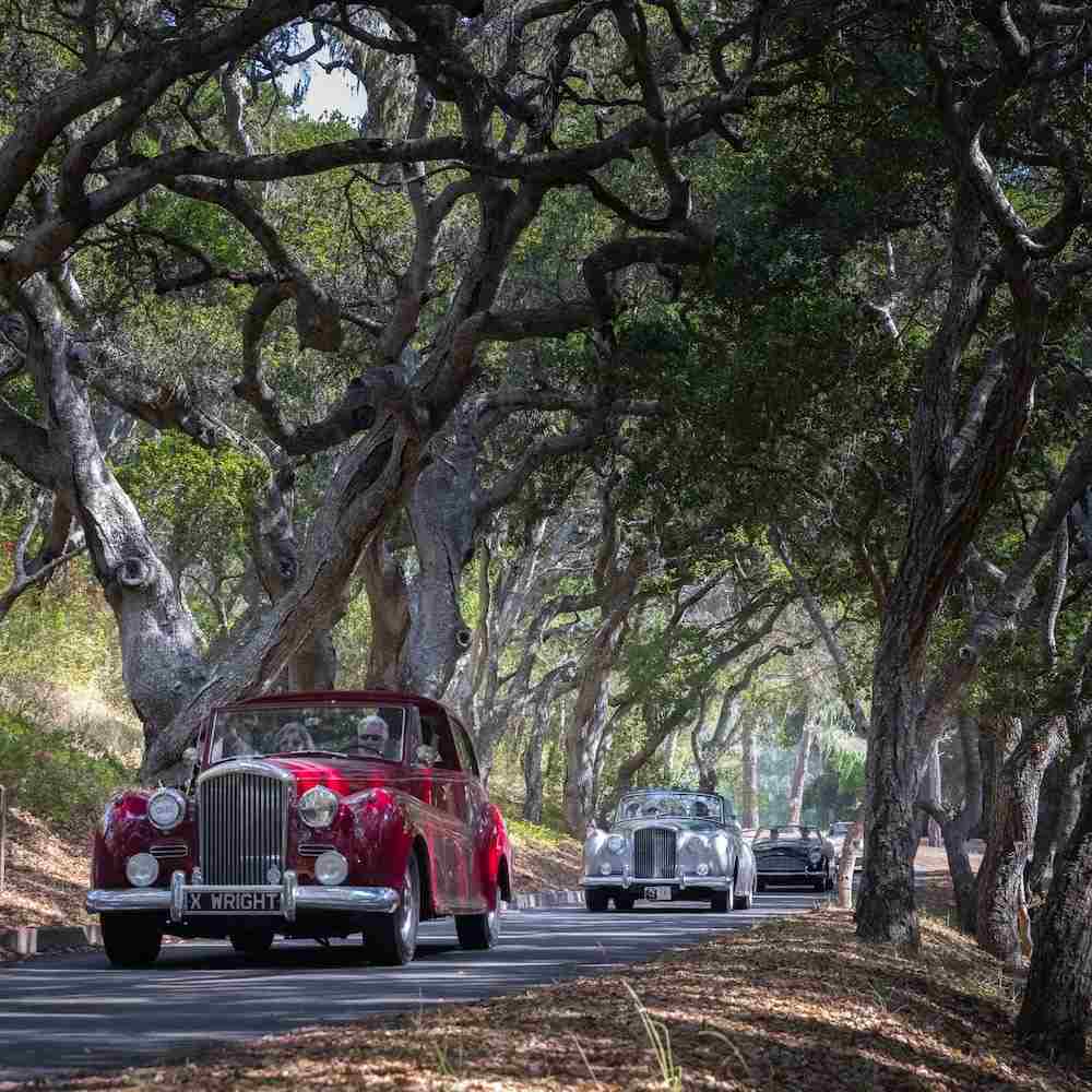 Carros entre as árvores em Tehama durante o Pebble Beach Tour D'elegance 2021 apresentado pela Rolex, na Monterey Car Week 