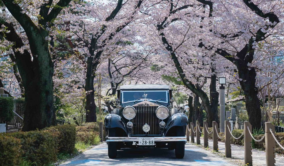 carro antigo passa por estrada entre árvores