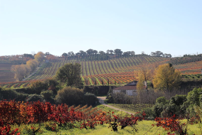Vista geral da Quinta do Monte D'Oiro, em Lisboa