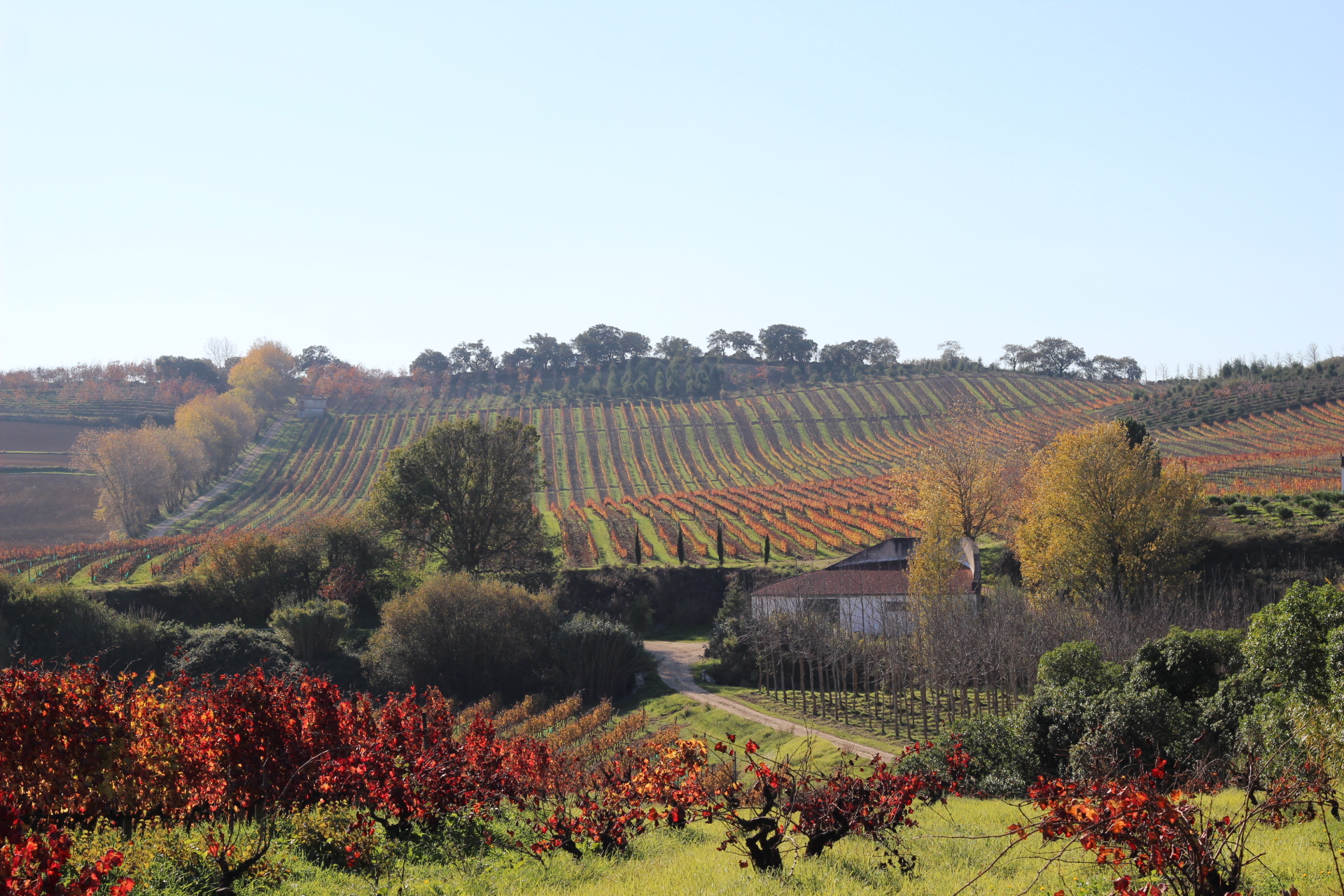 Vista geral da Quinta do Monte D'Oiro, em Lisboa