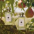 Perfumes Jo Malone