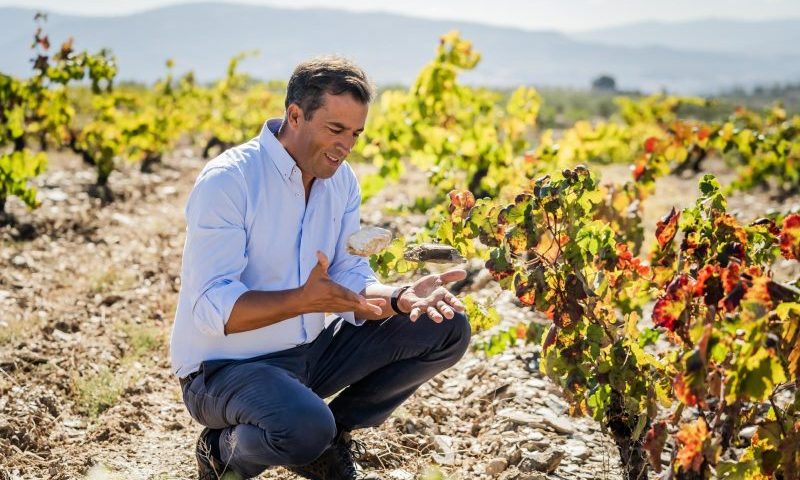 O produtor português António Boal em uma das propriedades da Costa Boal Family Estates (divulgação)