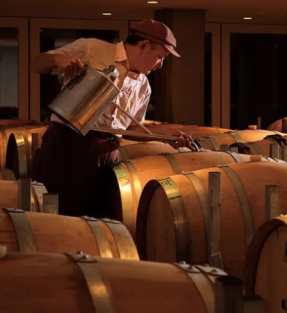 Vinícola do Japão (divulgação)