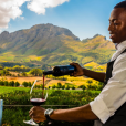 Cape Winelands, região vinícola da África do Sul