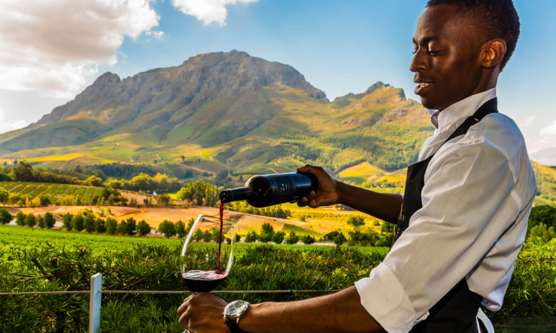 Cape Winelands, região vinícola da África do Sul
