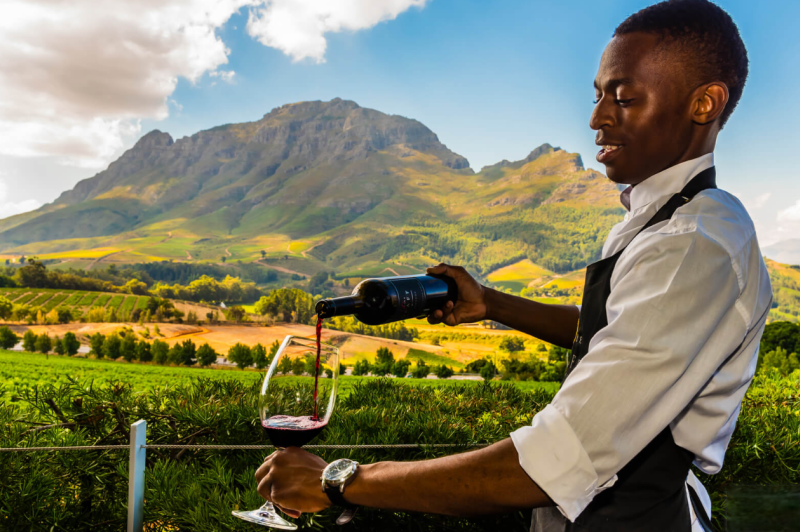 Cape Winelands, região vinícola da África do Sul
