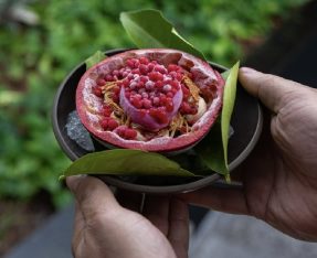 matéria dos Chefs, Iz restaurante (Divulgação)