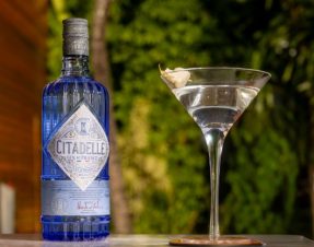 Prohibition Martini, que leva Citadelle Gin infusionado com parmesão (divulgação)