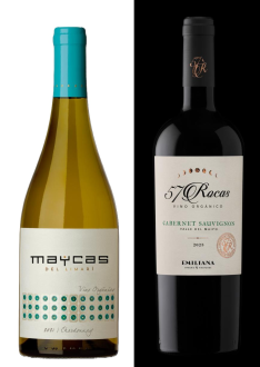 Maycas de Limarí Chardonnay e 57 Rocas Cabernet Sauvignon