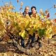 plantação de uvas garnacha no chile