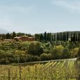 Tenuta Greppo, onde o Brunello di Montalcio nasceu, em 1865, hoje pertencente ao francês Christofer Descours (divulgação)
