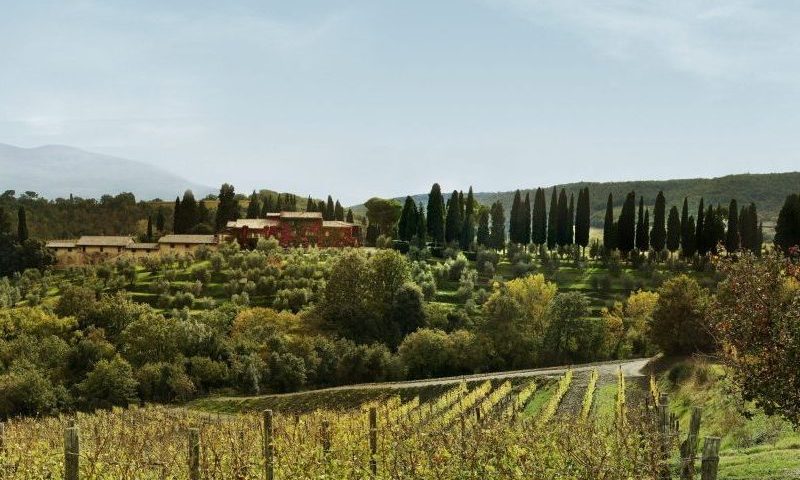 Tenuta Greppo, onde o Brunello di Montalcio nasceu, em 1865, hoje pertencente ao francês Christofer Descours (divulgação)