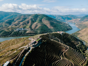 VIsta aérea das encostas onde estão os vinhedos da Menin Company (divulgação)
