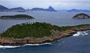 Vista das Ilhas Cagarras com o Rio de Janeiro ao fundo (foto: Fernando Moraes/divulgação)