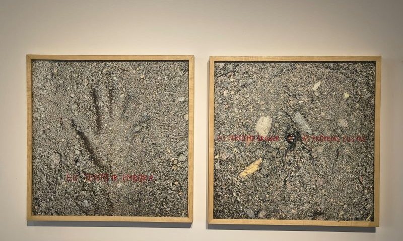 Obras da exposição 