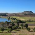 Vista da Cordilheira de Sant'Ana com o Cerro Palomas ao fundo (foto: Heloisa Belluzzo)