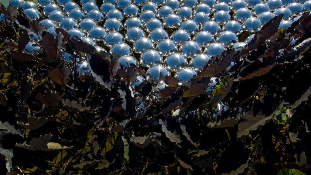 Narcissus Garden, instalação permanente em Inhotim (Divulgação/Inhotim/Pedro Motta)