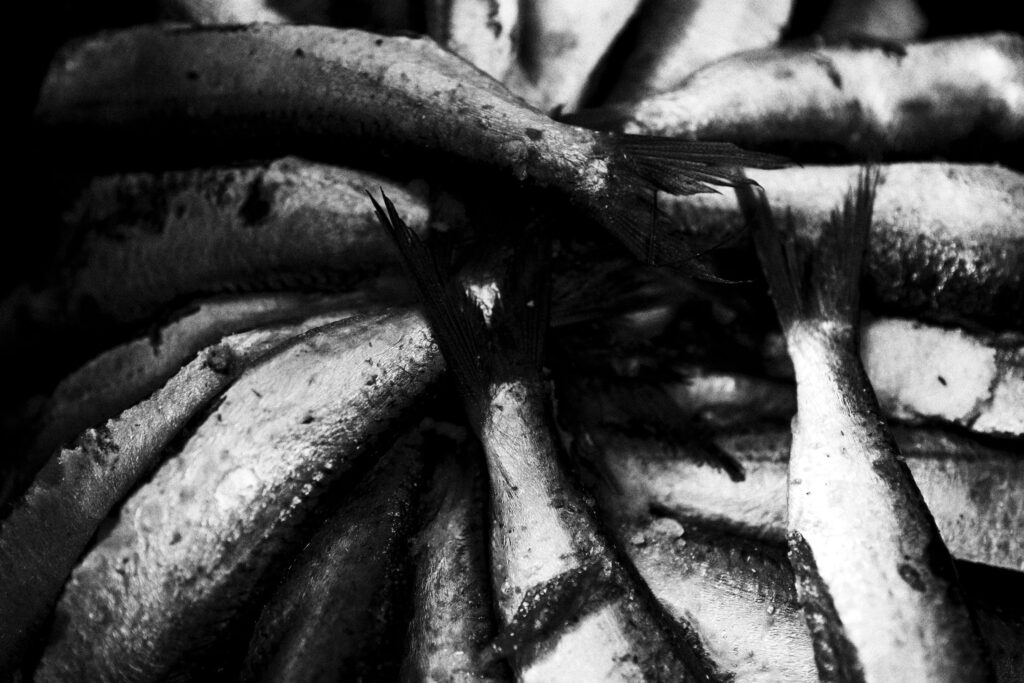 Fotografia de Ale Ruaro que compõe a exposição "O Centro que Respira", no Esther Rooftop (Divulgação/Ale Ruaro)