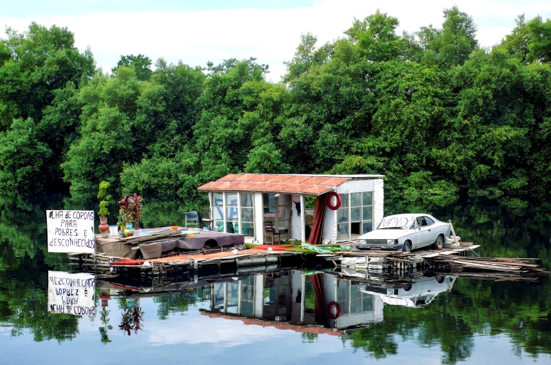Ilha de Coroas. Manguezal de Tubiacanga, RJ, 2009.
