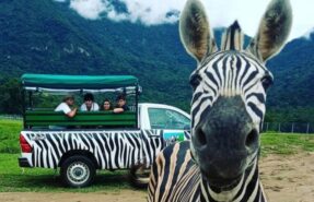 Portobllo Resort & Safari (divulgação)