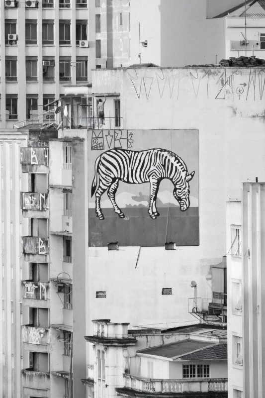 Zebra de Claudio Tozzi. Praça da República, São Paulo, 2010 (Olivier Anquier/Divulgação