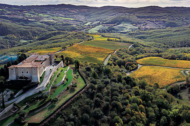 vinhos premium