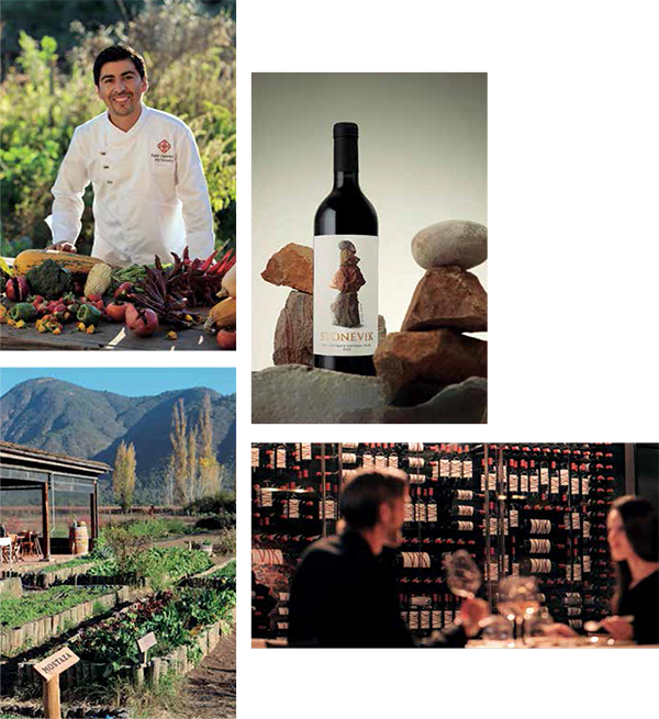 O chef Pablo Cáceres com vegetais que cultiva em sua horta orgânica; uma garrafa do Stone Vik e uma degustação na adega do hotel