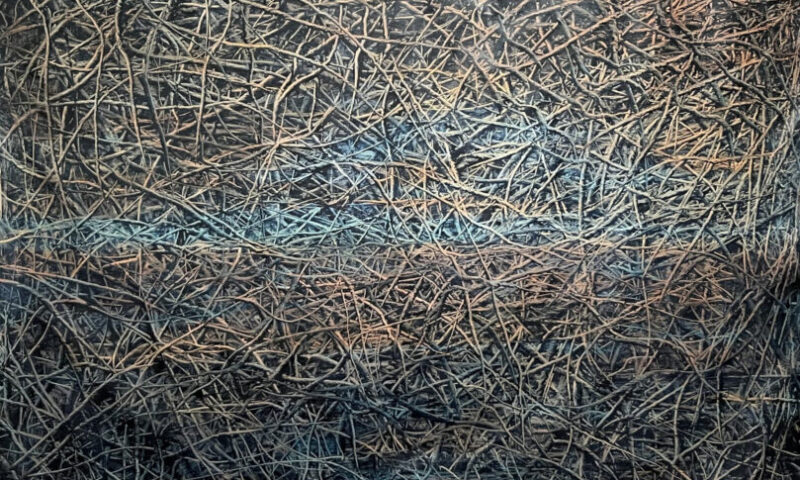 Feira de arte social Obra de Angela Farias que integra a exposição no CBB (Divulgação)