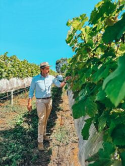 Jorgito Donadelli nos vinhedos de Sacramento (MG), na Serra da Canastra (divulgação)