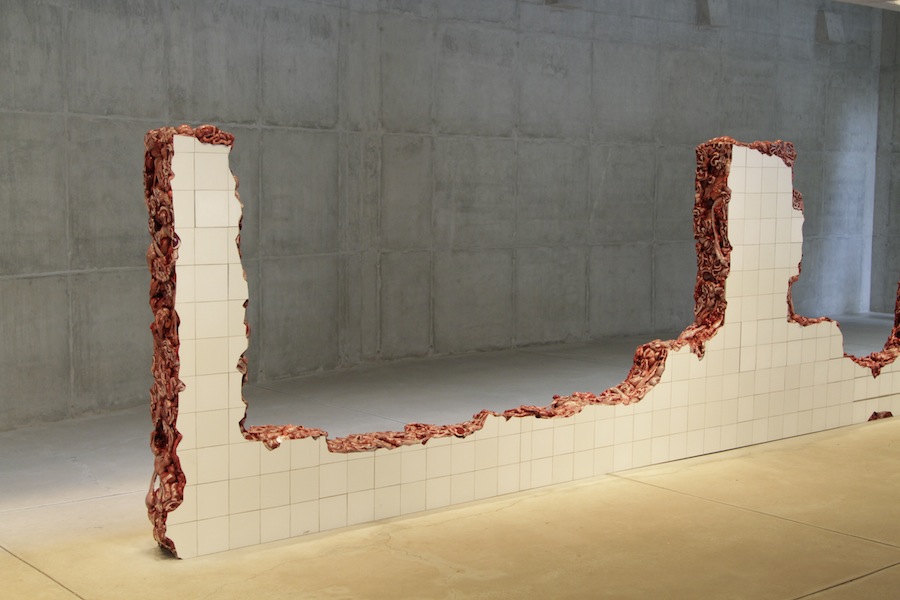 Linda do Rosário, Adriana Varejão - VERSATILLE